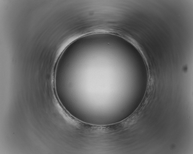 X0000110930811200906251332