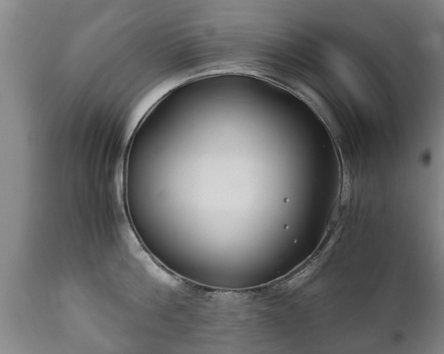 X0000110930812200906251332