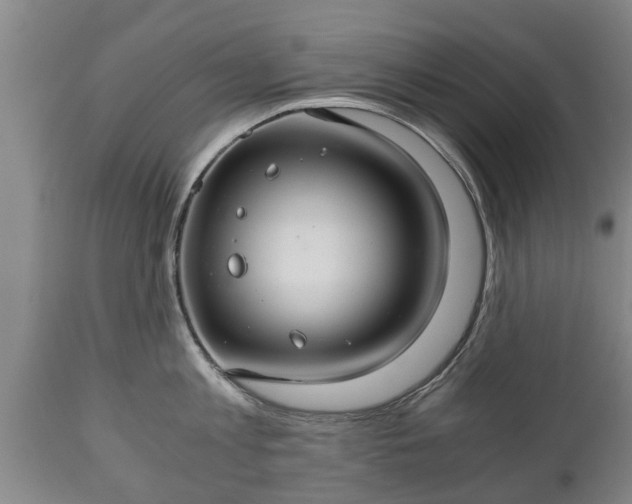 X0000110930813200906251332