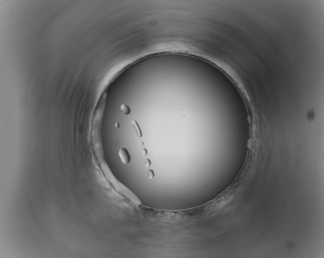 X0000110930815200906251332