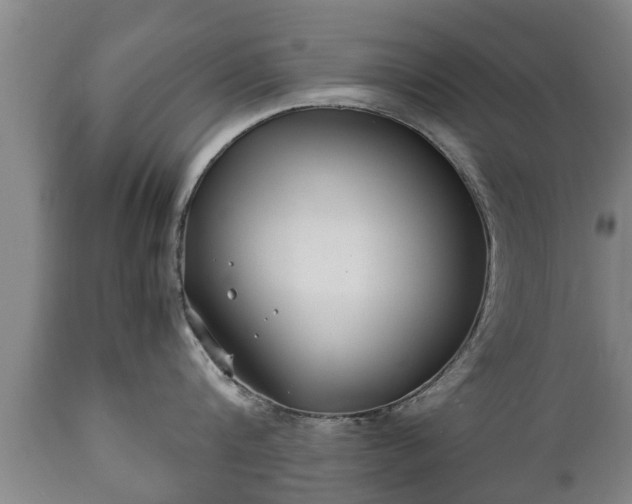 X0000110930816200906251332