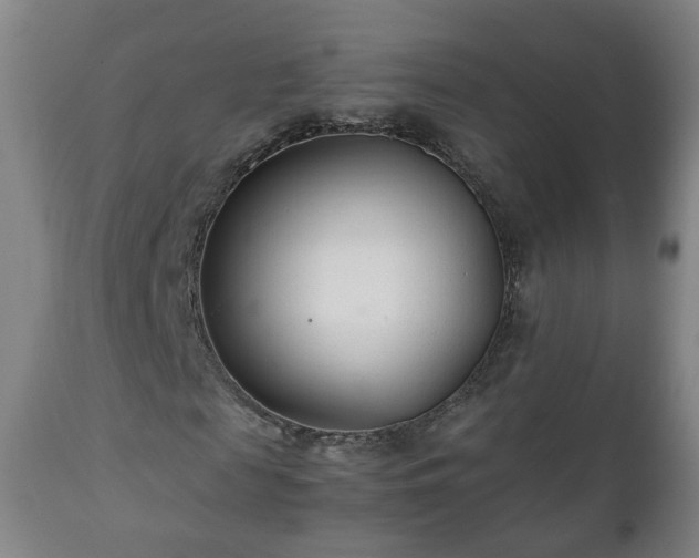 X0000110930817200906251331