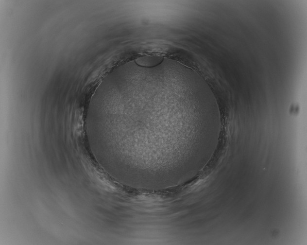 X0000110930818200906251331