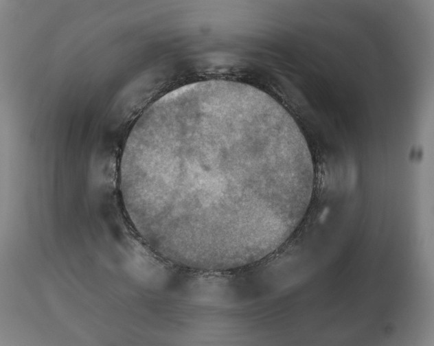 X0000110930820200906251331