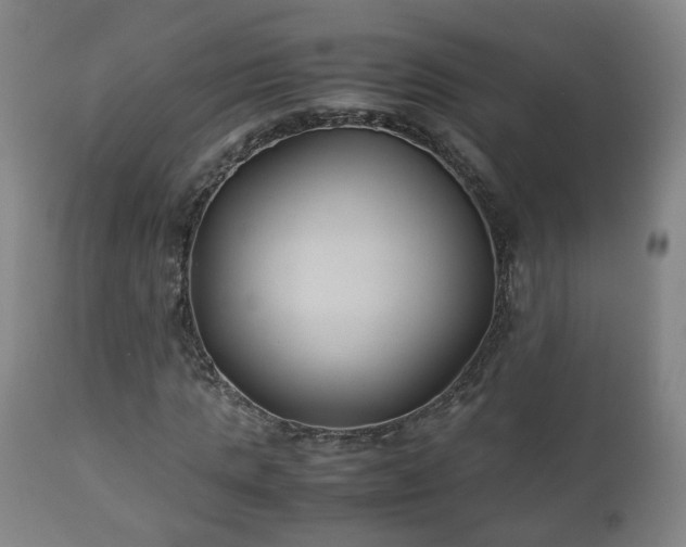 X0000110930821200906251331