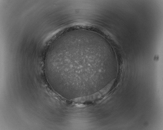 X0000110930822200906251331