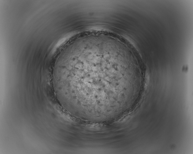 X0000110930823200906251331