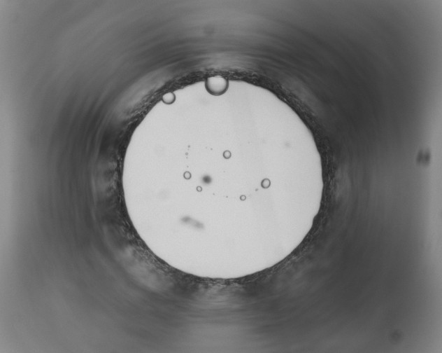 X0000110930824200906251331