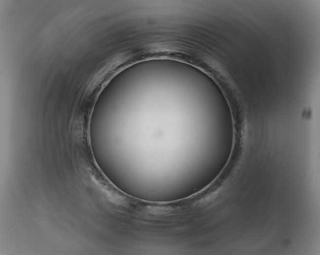 X0000110930825200906251331
