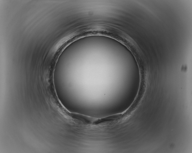 X0000110930826200906251331