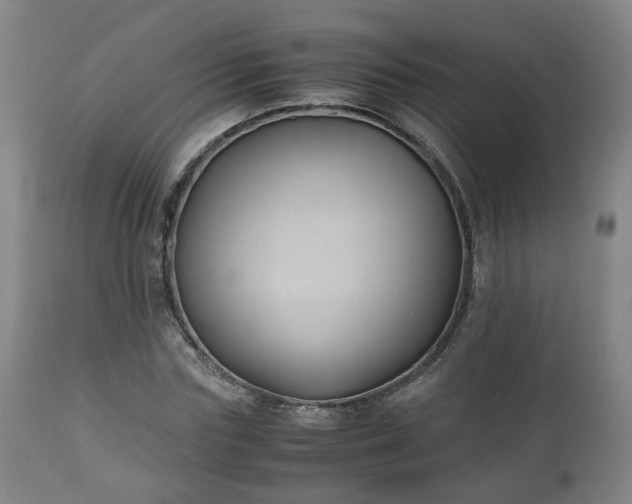 X0000110930827200906251331