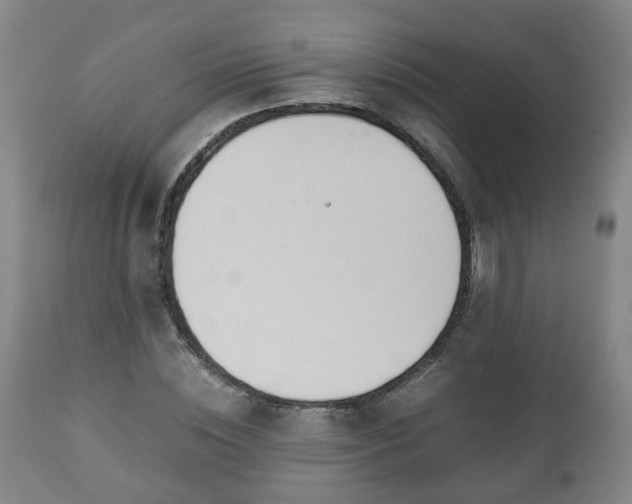 X0000110930828200906251331