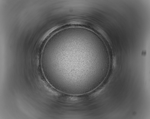 X0000110930829200906251331
