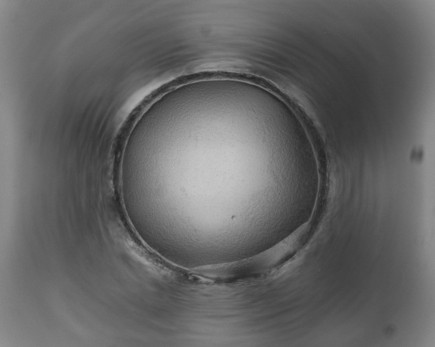 X0000110930830200906251331