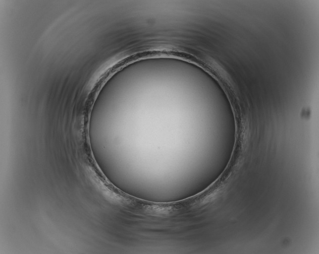 X0000110930831200906251331