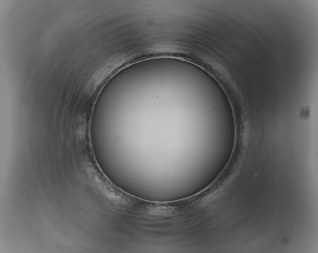 X0000110930833200906251331