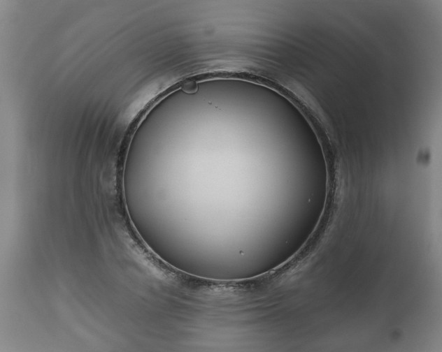 X0000110930834200906251331