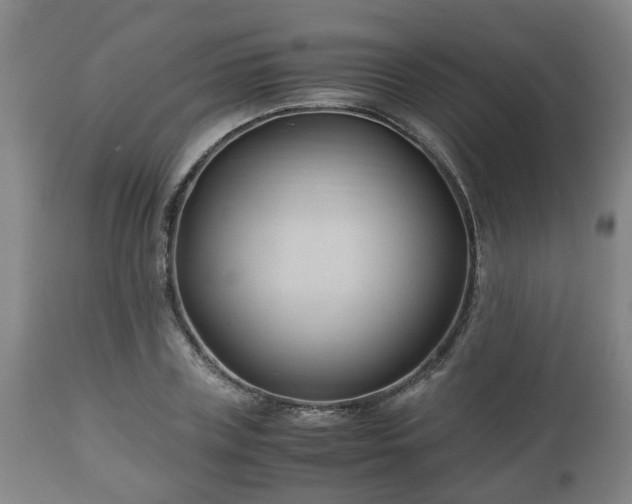 X0000110930835200906251331