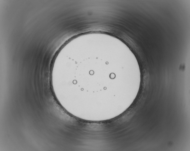 X0000110930836200906251331