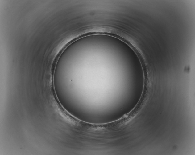 X0000110930837200906251331