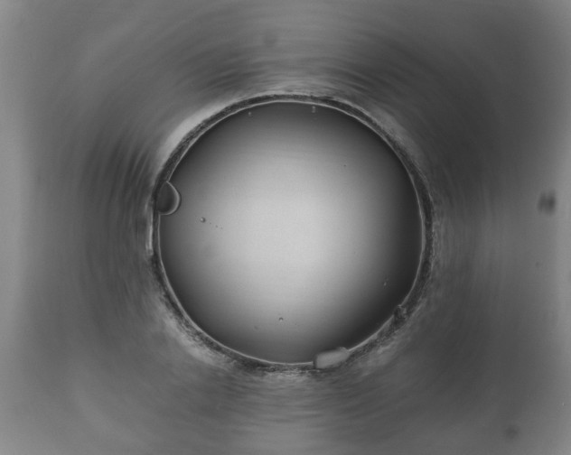 X0000110930838200906251331