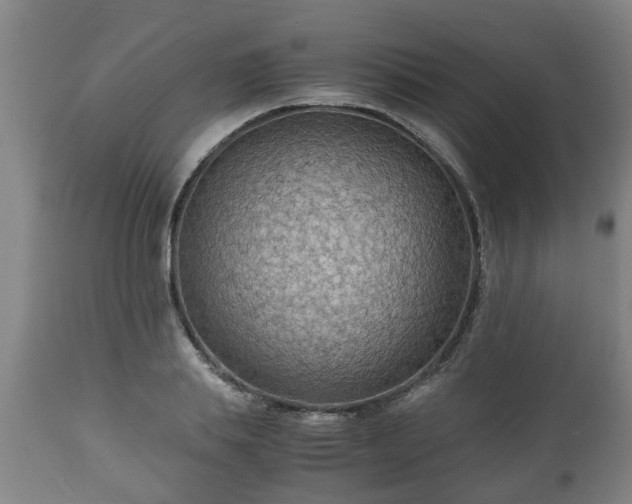 X0000110930839200906251331
