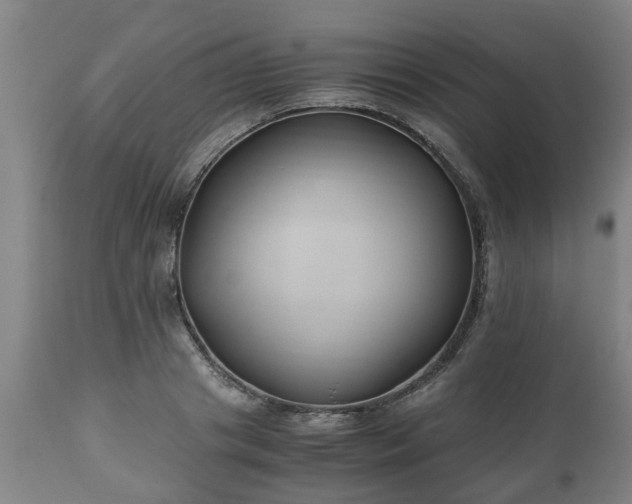 X0000110930841200906251331