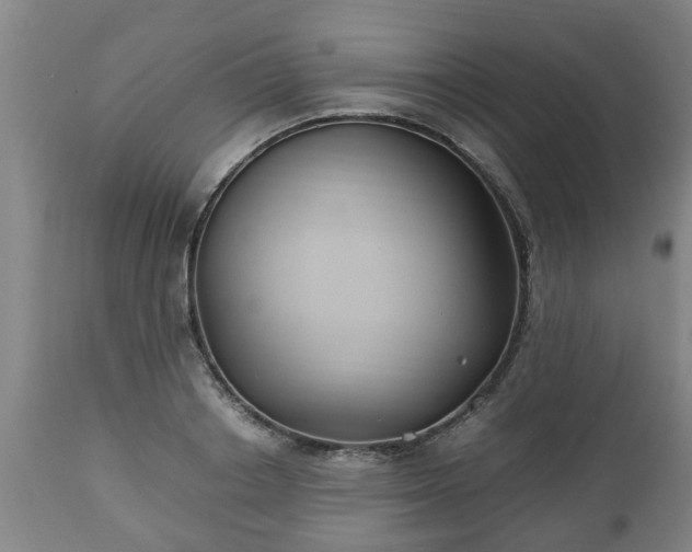 X0000110930842200906251331