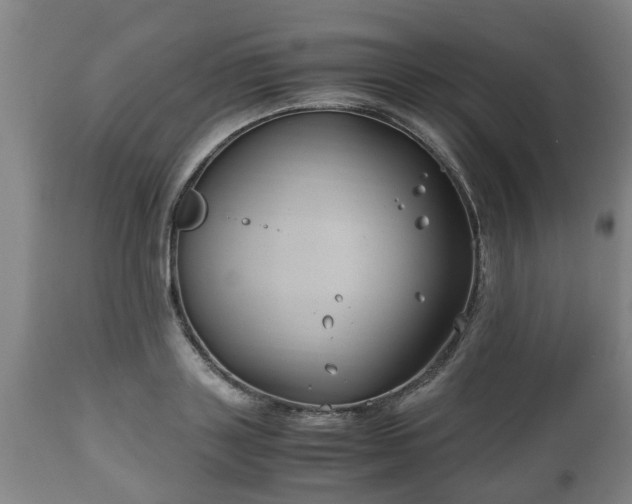 X0000110930843200906251331