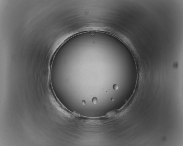 X0000110930844200906251331