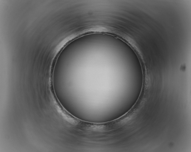X0000110930845200906251331