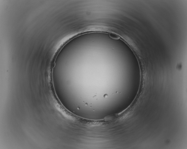 X0000110930846200906251331
