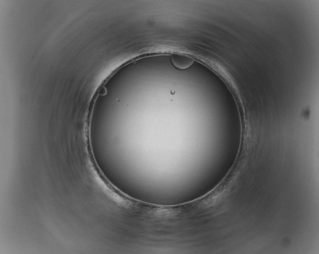 X0000110930847200906251331