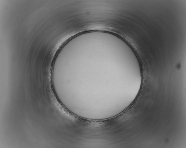 X0000110930848200906251331