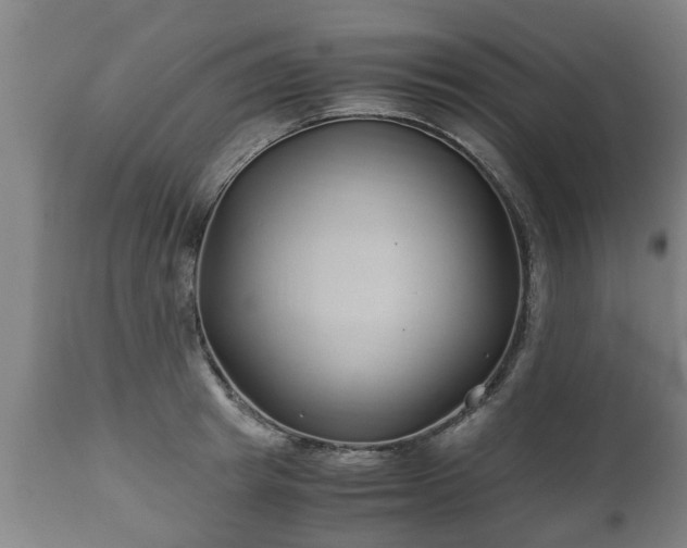X0000110930849200906251331