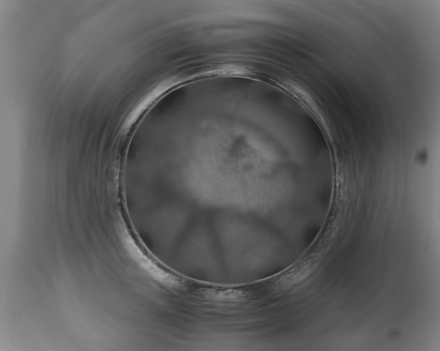 X0000110930851200906251331