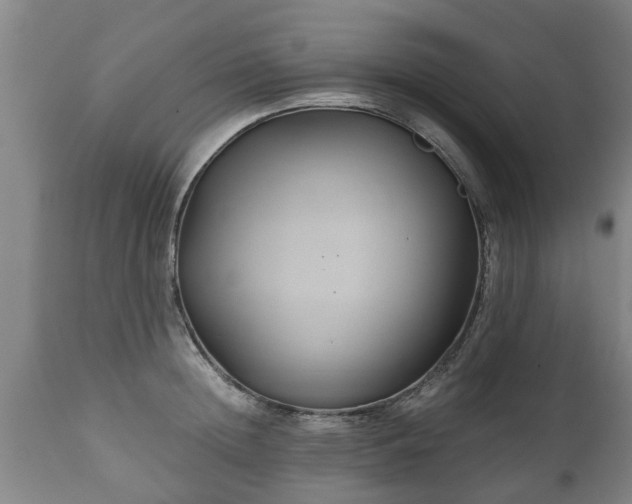 X0000110930852200906251332