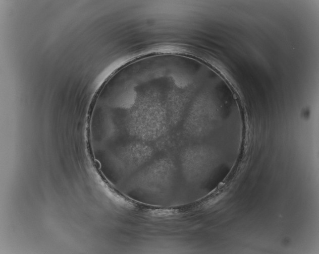 X0000110930853200906251332