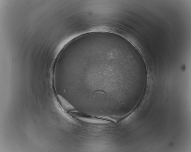 X0000110930854200906251332