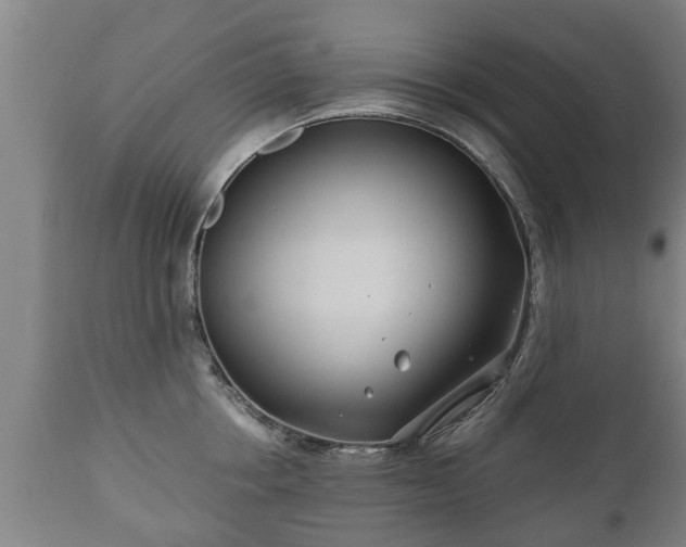 X0000110930858200906251332