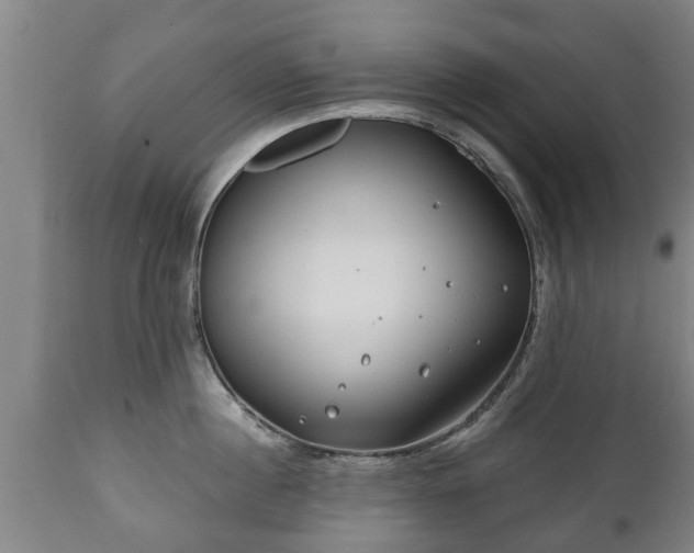 X0000110930860200906251332