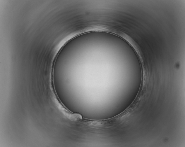 X0000110930861200906251332