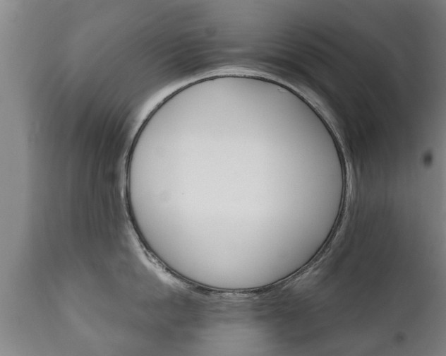 X0000110930862200906251332