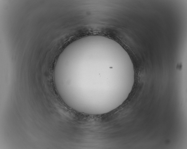 X0000110930865200906251331