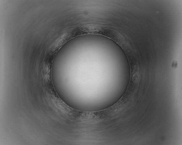 X0000110930866200906251331