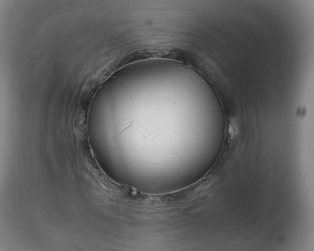 X0000110930867200906251331