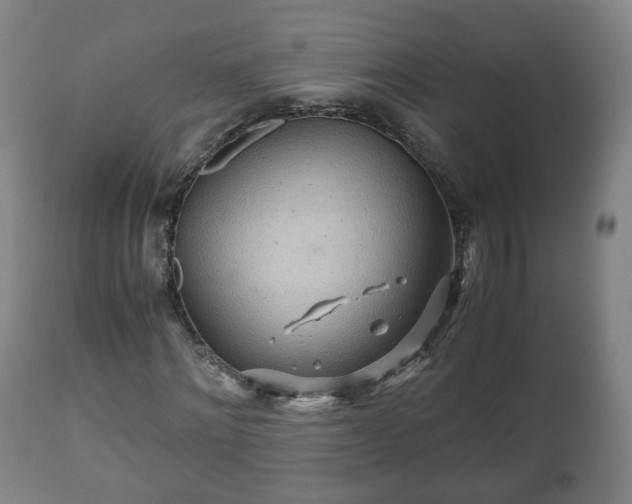 X0000110930868200906251331