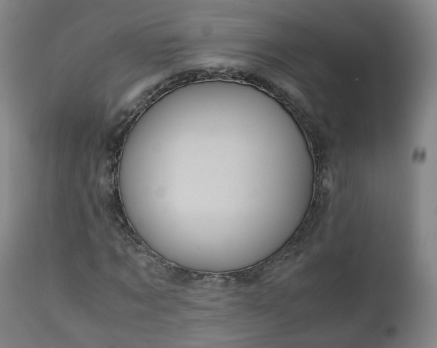 X0000110930869200906251331