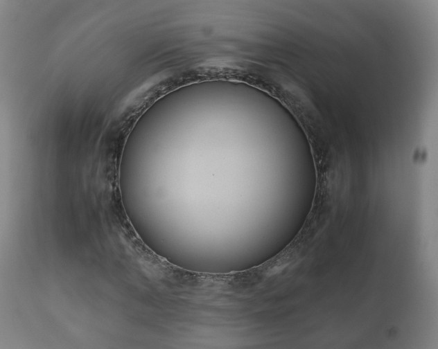 X0000110930870200906251331