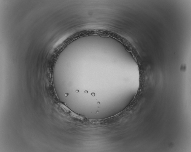X0000110930871200906251331